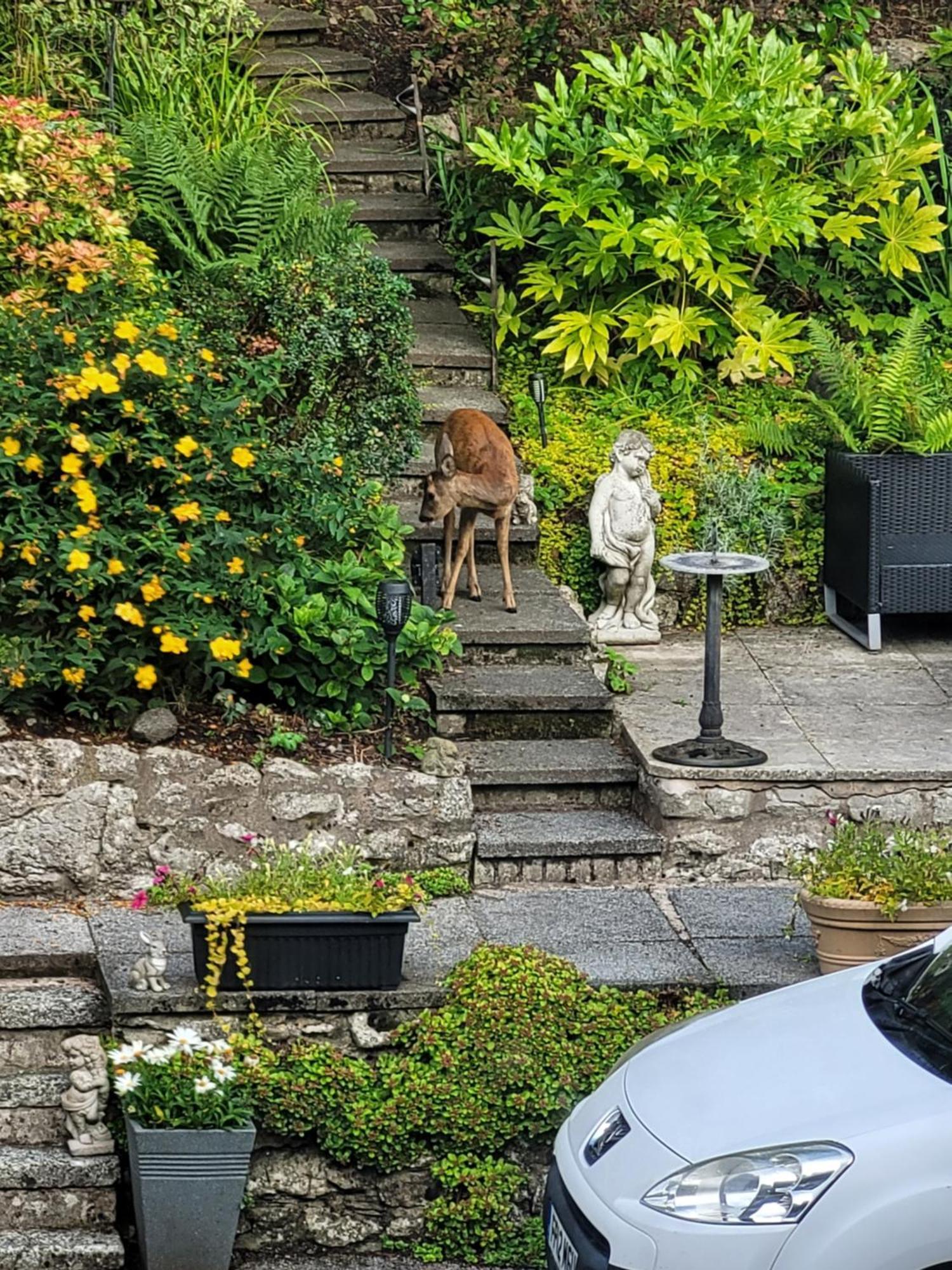 Elton Guest House Grange-over-Sands Dış mekan fotoğraf